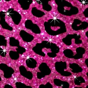 Meet your Posher, Darcy